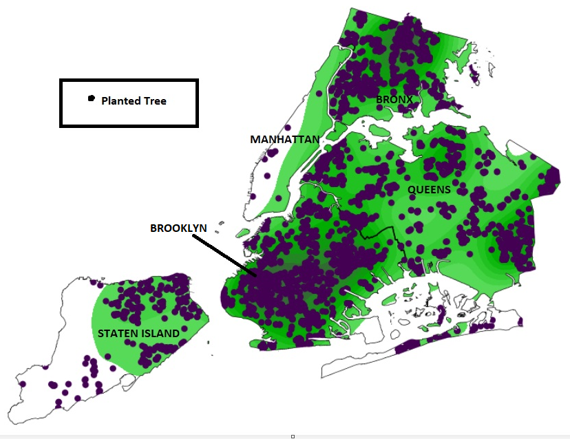 A static map plotting each tree planted. The density of planted trees is heavily concentrated in the Brooklyn borough area, whereas the Manhattan area is almost clear.